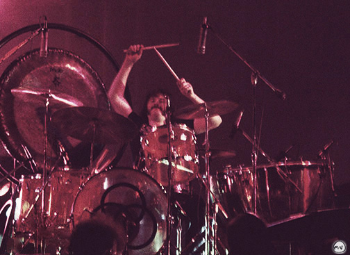 bonzo.tico