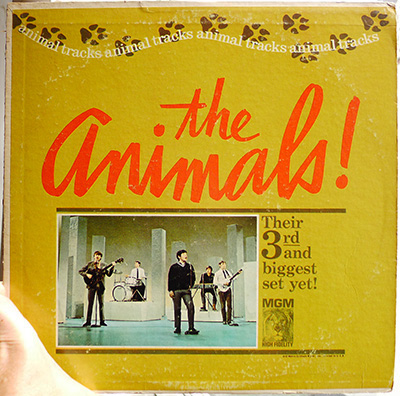 animals