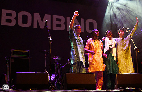 bombino1.tico