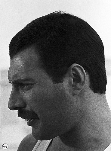 freddie-tico