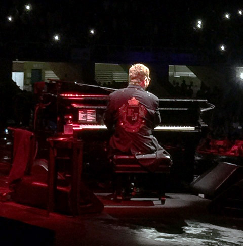 elton.palco